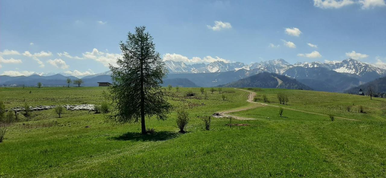Pokoje Goscinne Przeklasa Pawel Zakopane Esterno foto