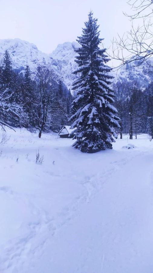 Pokoje Goscinne Przeklasa Pawel Zakopane Esterno foto