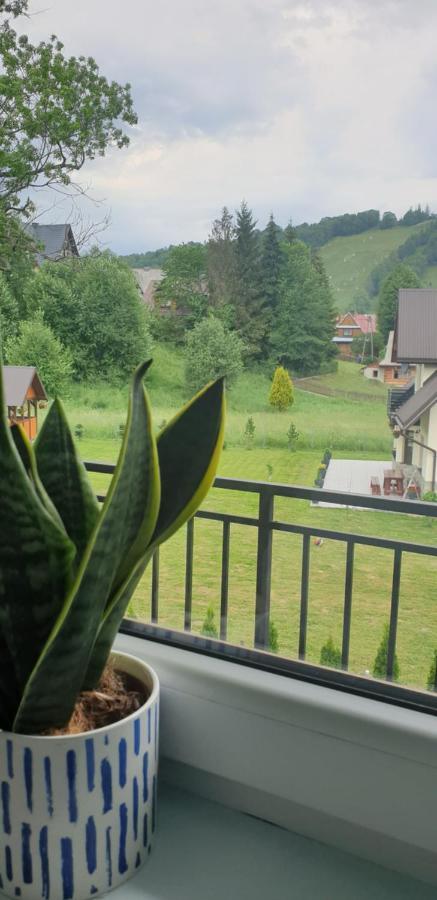 Pokoje Goscinne Przeklasa Pawel Zakopane Esterno foto