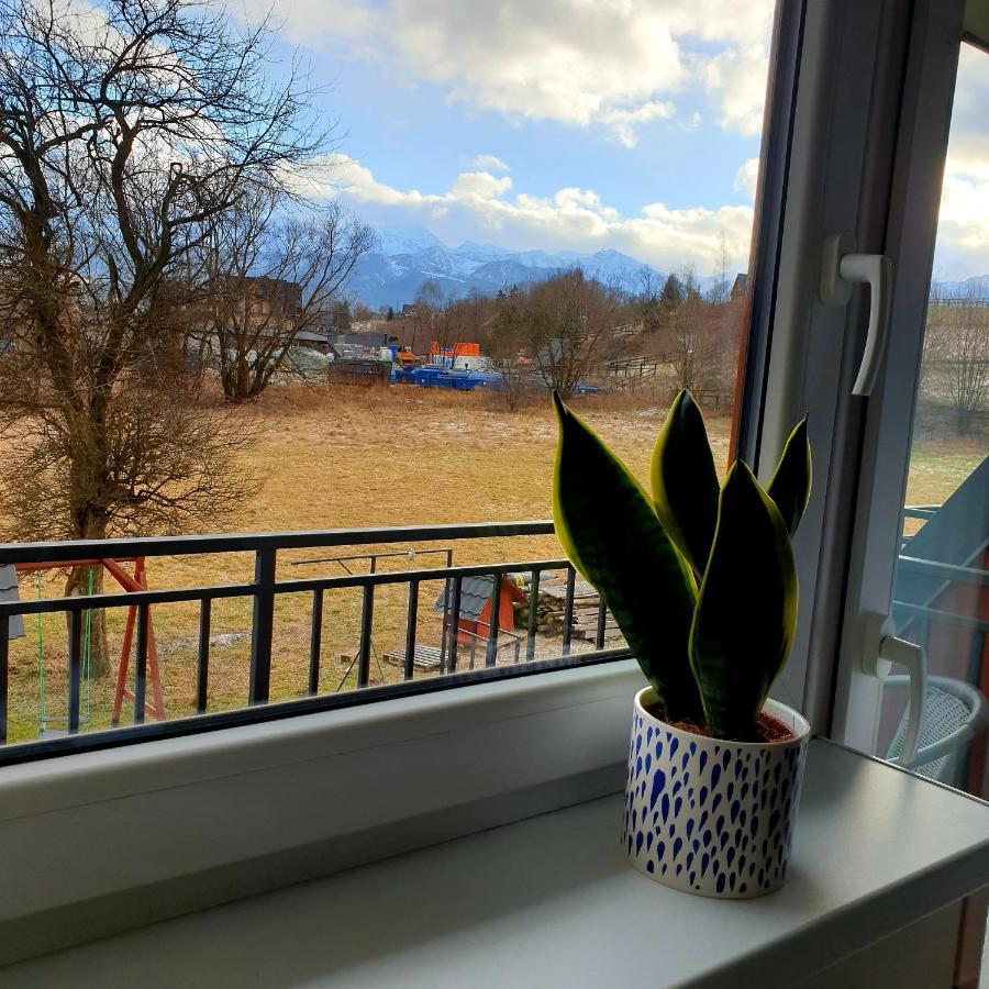 Pokoje Goscinne Przeklasa Pawel Zakopane Esterno foto