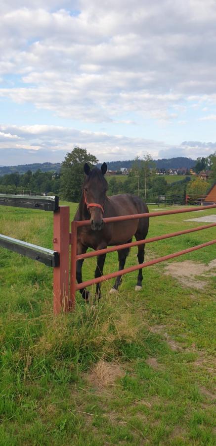 Pokoje Goscinne Przeklasa Pawel Zakopane Esterno foto